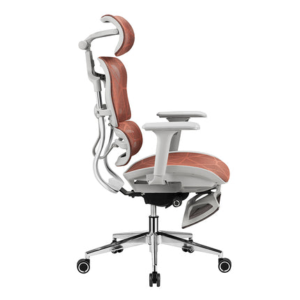 ERGOUP B30X Ergonomic Gaming Chair with 6D Armrest and Dragon Mesh Warranty 5 Years ERGOUP ergonomic office chair