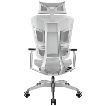 Ergoup Ergonomic Office Chair Esports Series Ergonomic Chair - Max Surge ERGOUP Ergonomic Office Chair