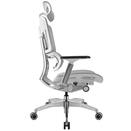 Ergoup Ergonomic Office Chair Esports Series Ergonomic Chair - Max Surge ERGOUP Ergonomic Office Chair