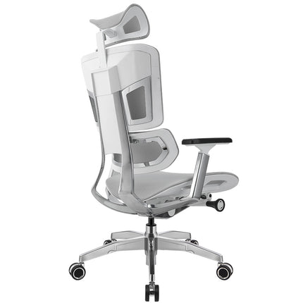 Ergoup Ergonomic Office Chair Esports Series Ergonomic Chair - Max Surge ERGOUP Ergonomic Office Chair