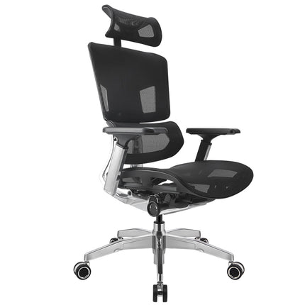 Ergoup Ergonomic Office Chair Esports Series Ergonomic Chair - Max Surge ERGOUP Ergonomic Office Chair