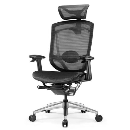 Ergoup Ergonomic Office Chair 2022 Premium Class Ergonomic Chair - Z-Shine ERGOUP ergonomic office chair