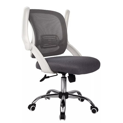 Ergoup Ergonomic Office Chair Low Back Sponge Chair - M81 ERGOUP ergonomic office chair