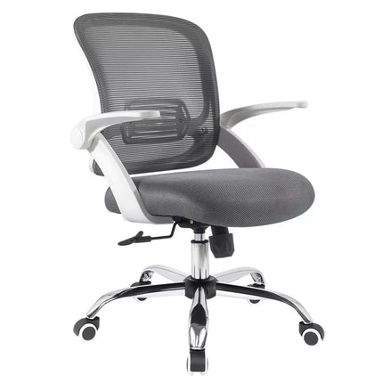 Ergoup Ergonomic Office Chair Low Back Sponge Chair - M81 ERGOUP ergonomic office chair