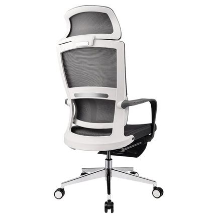 Ergoup Ergonomic Office Chair High Back Ergonomic Office Chair - B90 ERGOUP ergonomic office chair