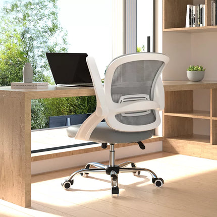 Ergoup Ergonomic Office Chair Low Back Sponge Chair - M81 ERGOUP ergonomic office chair