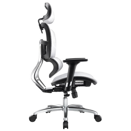 Ergoup Ergonomic Office Chair Office Chair - HB ERGOUP ergonomic office chair