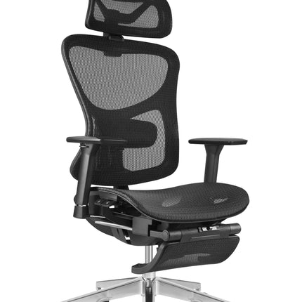 ERGOUP Business Series Ergonomic Chair - HX-A ERGOUP Ergonomic Office Chair