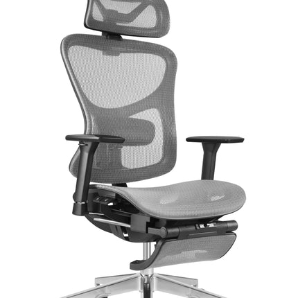 ERGOUP Business Series Ergonomic Chair - HX-A ERGOUP Ergonomic Office Chair