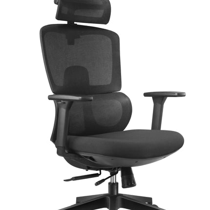 ERGOUP Softy Series Ergonomic Chair Q202A ERGOUP Ergonomic Office Chair