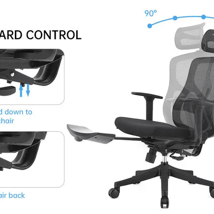 ERGOUP Youth Series Nylon Skeleton Chair - 1606 ERGOUP Ergonomic Office Chair