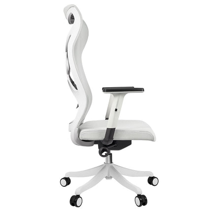 ERGOUP High Back Office Chair - GZ ERGOUP Ergonomic Office Chair