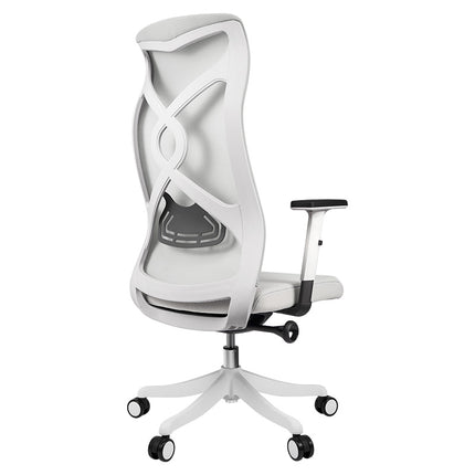 ERGOUP High Back Office Chair - GZ ERGOUP Ergonomic Office Chair