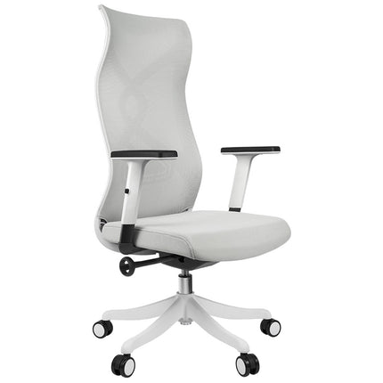 ERGOUP High Back Office Chair - GZ ERGOUP Ergonomic Office Chair