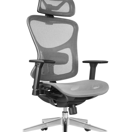 ERGOUP Business Series Ergonomic Chair - HX-A ERGOUP Ergonomic Office Chair