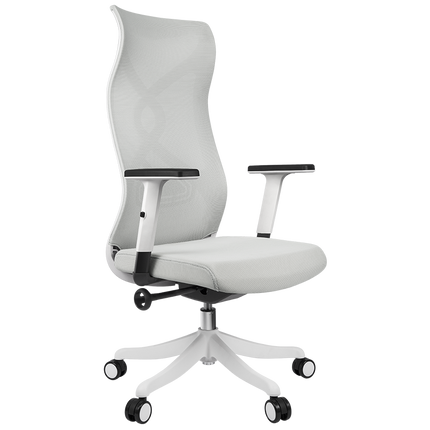 ERGOUP High Back Office Chair - GZ ERGOUP Ergonomic Office Chair