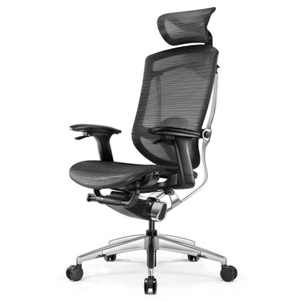 Ergoup Ergonomic Office Chair 2022 Premium Class Ergonomic Chair - Z-Shine ERGOUP ergonomic office chair