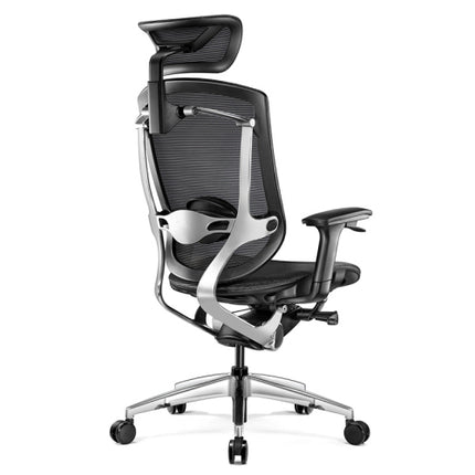 Ergoup Ergonomic Office Chair 2022 Premium Class Ergonomic Chair - Z-Shine ERGOUP ergonomic office chair