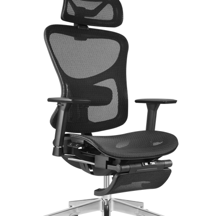 ERGOUP Business Series Ergonomic Chair - HX-A ERGOUP Ergonomic Office Chair