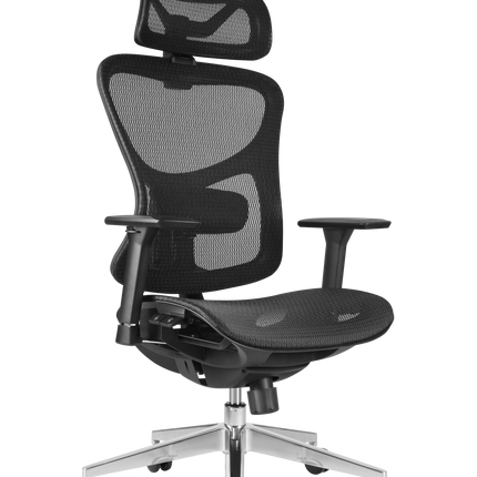 ERGOUP Business Series Ergonomic Chair - HX-A ERGOUP Ergonomic Office Chair