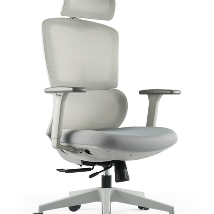 ERGOUP Softy Series Ergonomic Chair Q202A ERGOUP Ergonomic Office Chair