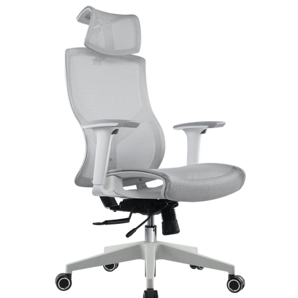 ERGOUP Full Mesh Ergonomic Office Chair -  B21 ERGOUP Ergonomic Office Chair