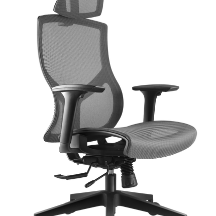 ERGOUP Full Mesh Ergonomic Office Chair -  B21 ERGOUP Ergonomic Office Chair